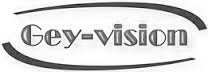 logo geyvision
