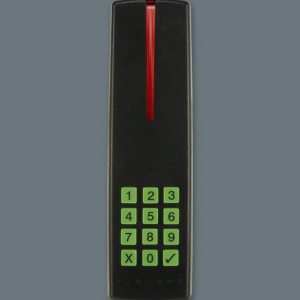R915 * Cititor de proximitate cu tastatura de interior/exterior